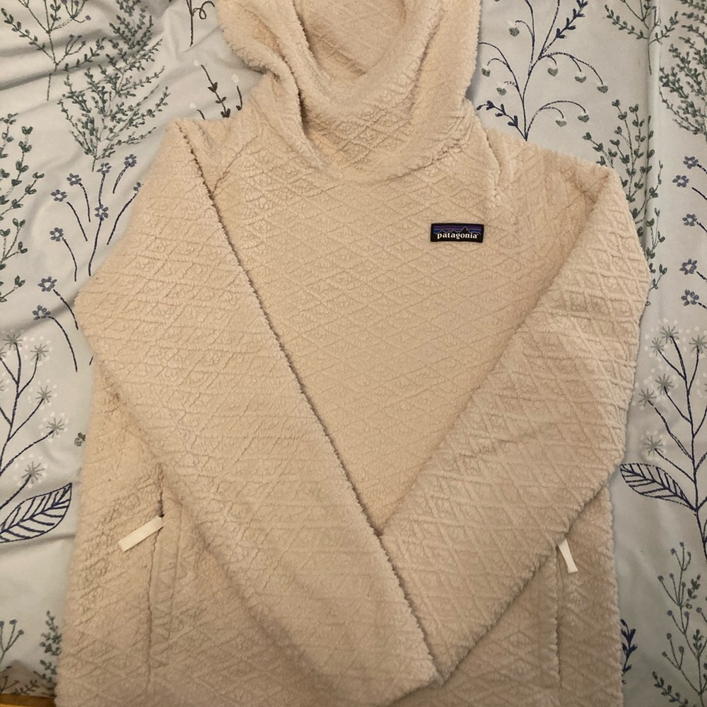 Patagonia fleece hoody pullover.